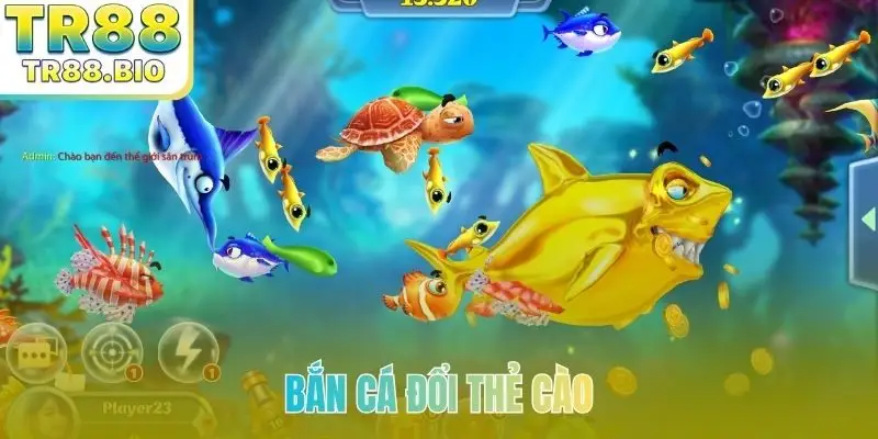 ban ca doi the cao bia
