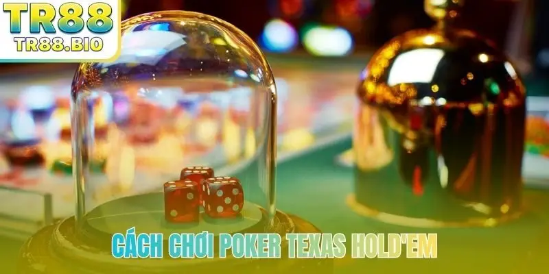 cach choi poker texas holdem bia
