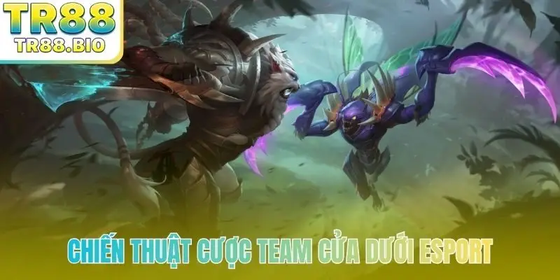 chien thuat cuoc team cua duoi esport bia