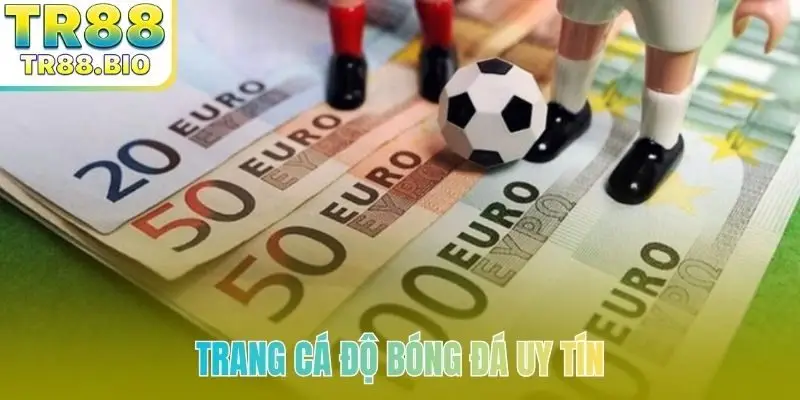 trang ca do bong da uy tin bia